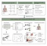 MPTevol Published in Briefings in Bioinformatics