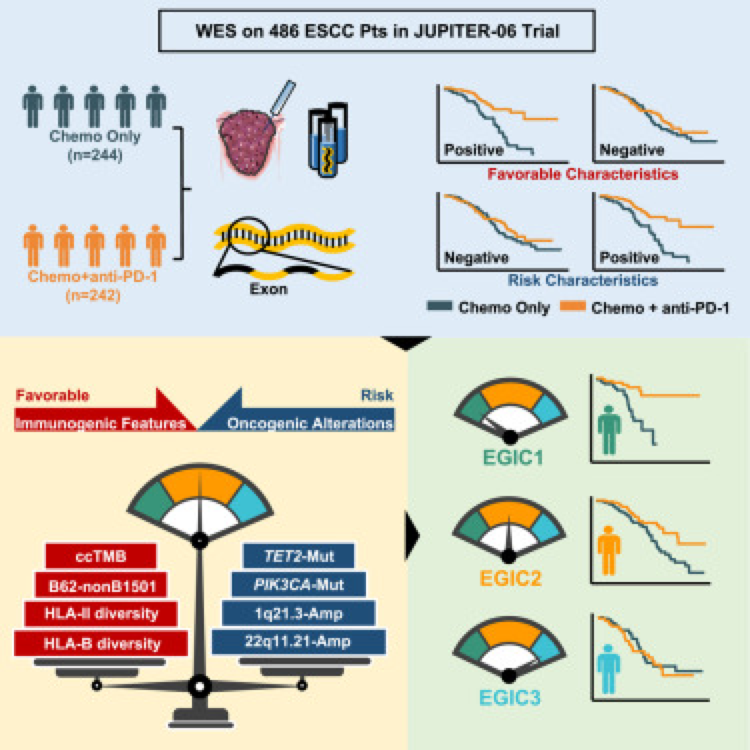 An immunogenic and oncogenic feature-based classification for chemotherapy plus PD-1 blockade in advanced esophageal squamous cell carcinoma