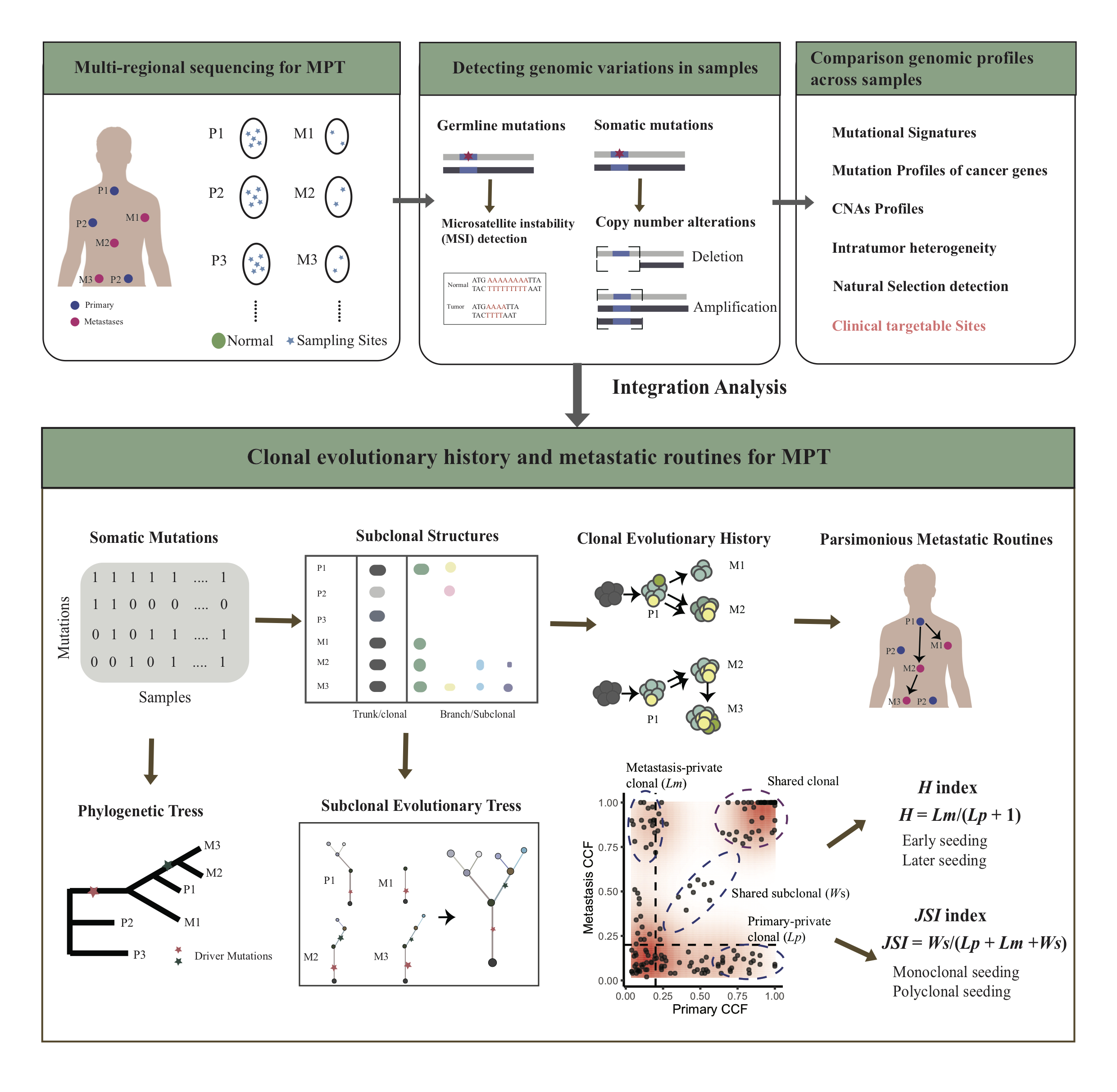 Deciphering clonal dynamics and metastatic routines in a rare patient of synchronous triple-primary tumors and multiple metastases with MPTevol