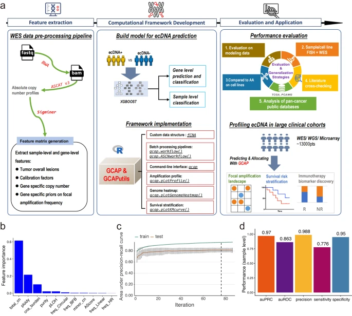 Machine learning-based extrachromosomal DNA identification in large-scale cohorts reveals its clinical implications in cancer