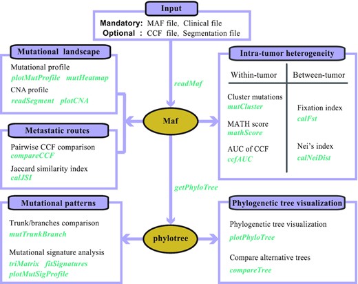 MesKit: a tool kit for dissecting cancer evolution of multi-region tumor biopsies through somatic alterations